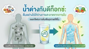 น้ำด่างกับดีท็อกซ์: ดื่มอย่างไรให้ร่างกายสะอาดจากภายใน