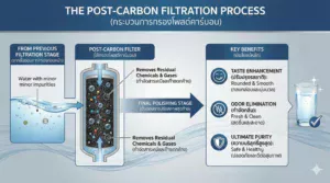 Post-Carbon (โพสต์คาร์บอน) คืออะไร? ไส้กรองขั้นตอนสุดท้ายที่ขาดไม่ได้เพื่อรสชาติที่กลมกล่อม