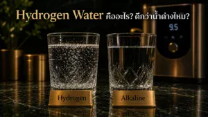 น้ำไฮโดรเจน Hydrogen Water คืออะไร? ดีกว่าน้ำด่างไหม? ฉบับเข้าใจง่าย ปี 2026
