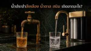 น้ำประปาสีเหลือง น้ำตาล สนิม เกิดจากอะไร? วิธีแก้ปัญหาที่ใช้ได้จริง ปี 2026